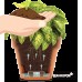 Latina Self watering planter 7.9 inch Terracotta   564101786
